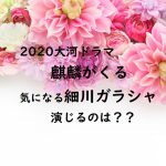 2020大河ドラマ麒麟がくる細川ガラシャ