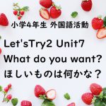 LetsTry2 Unit7 What do you want?