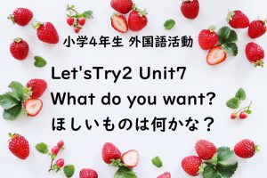 LetsTry2 Unit7 What do you want?